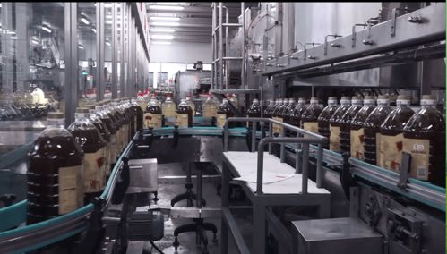 云赏金龙鱼虾田稻，共忆香韵外婆情